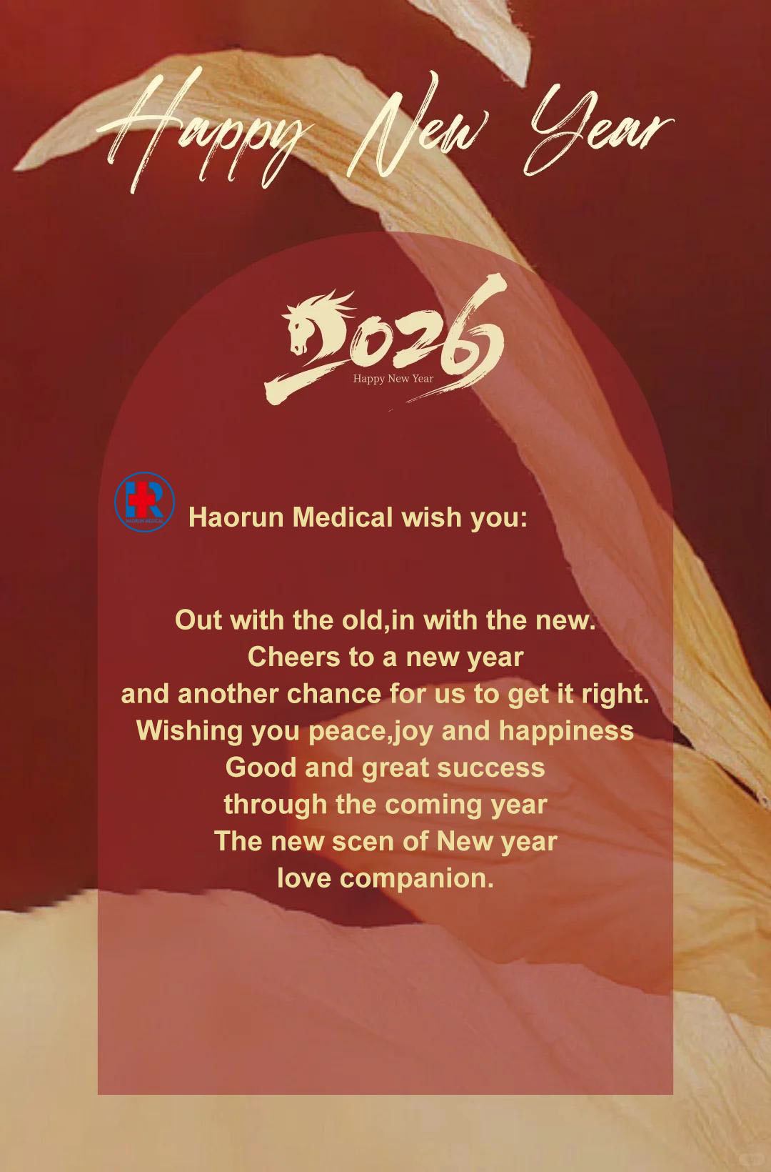 Haorun Medical Celebrates Nativitatis et Novus Annus, Prospiciebat Deepening Cooperationem in Global Healthcare